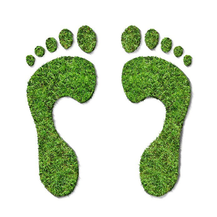 carbon_footprint