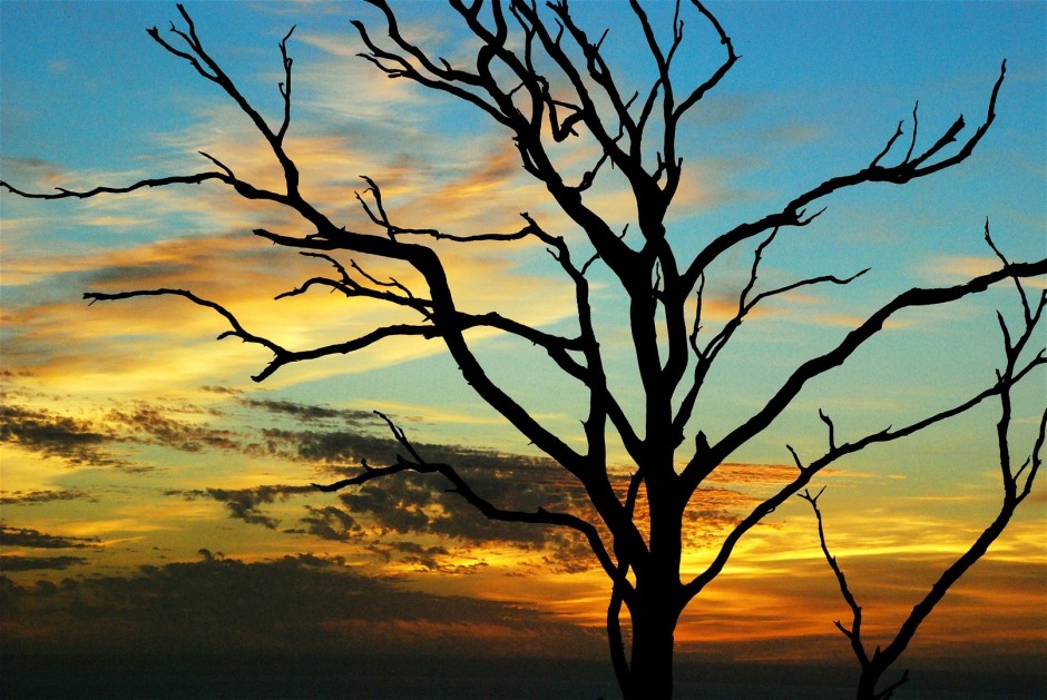 Don't Fly Go! Australia holidays by Travelbag