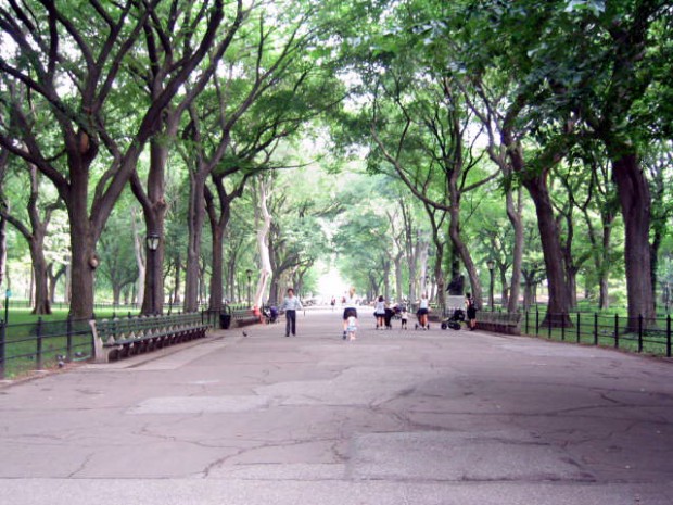 Central Park the mall