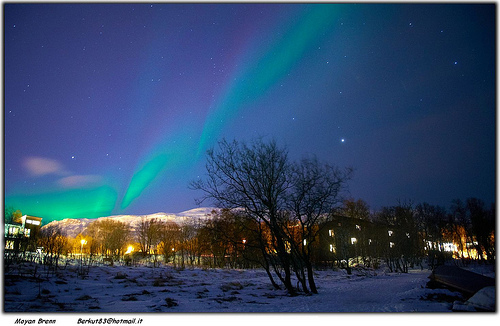 tours to see the Northern Lights
