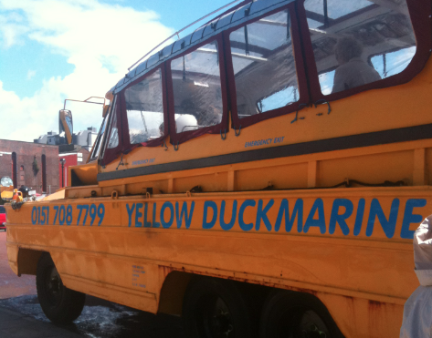 Liverpool Duck