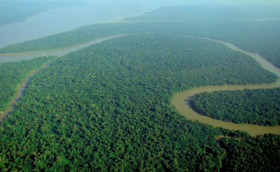 1280px-Aerial_view_of_the_Amazon_Rainforest