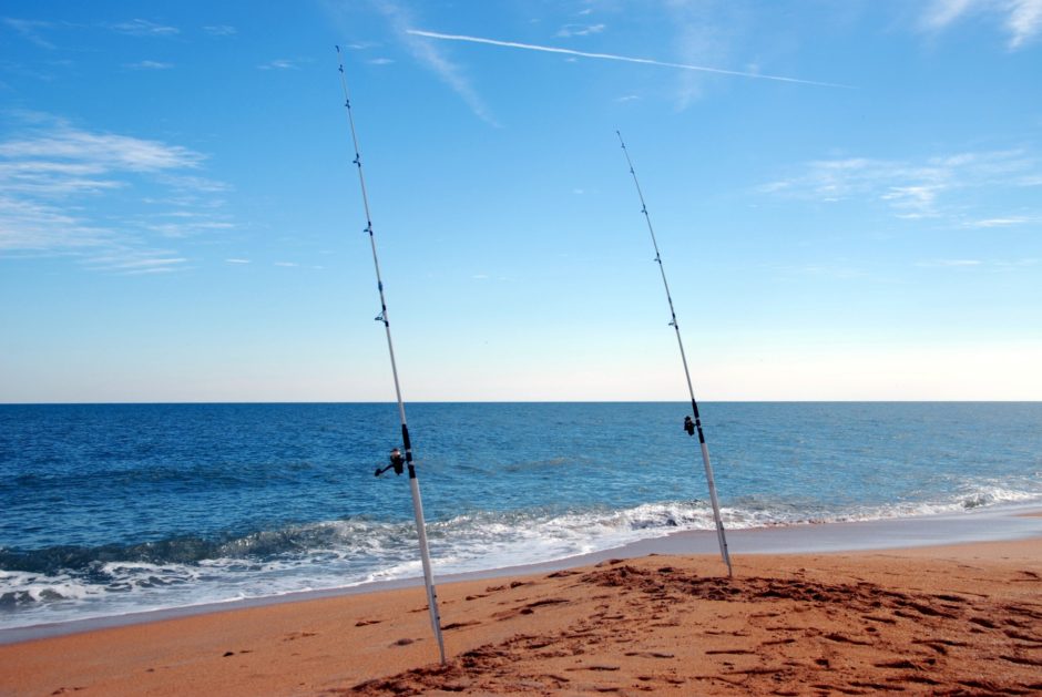 surf-fishing-poles-on-the-beach